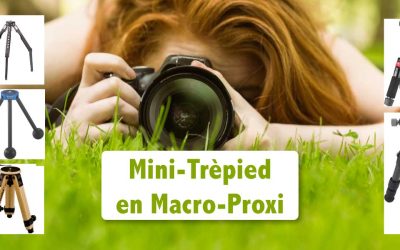 Mini Trépied en Macrophotographie : le guide comparatif